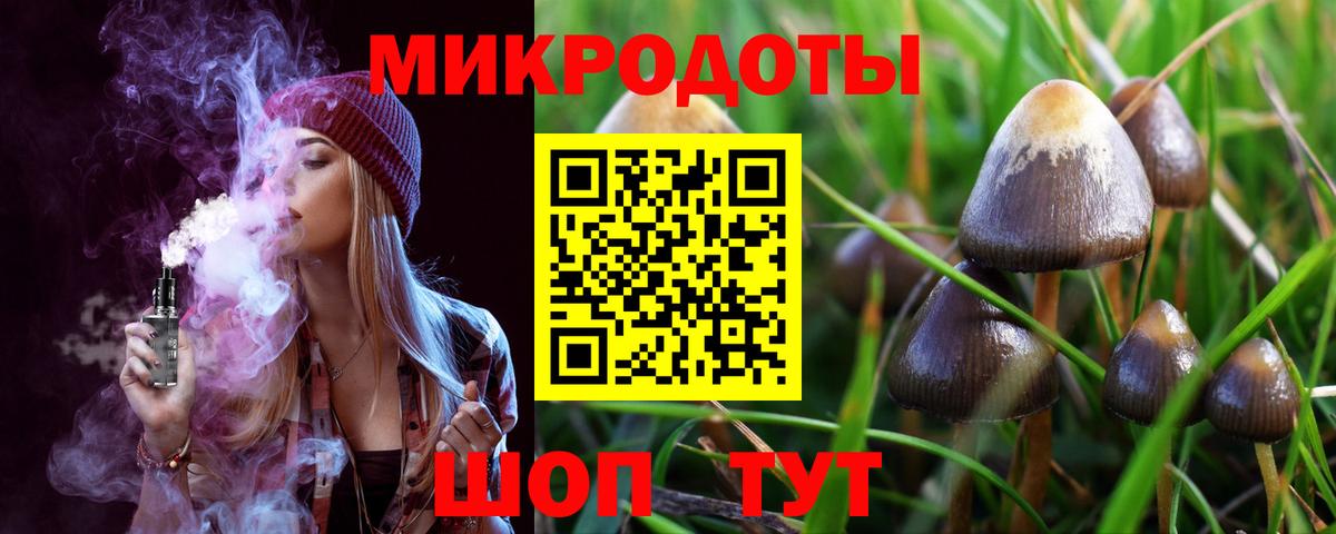 закладки  Вход с VPN  Псилоцибиновые грибы Cubensis  Прохладный  Псилоцибиновые грибы MAGIC MUSHROOMS 
